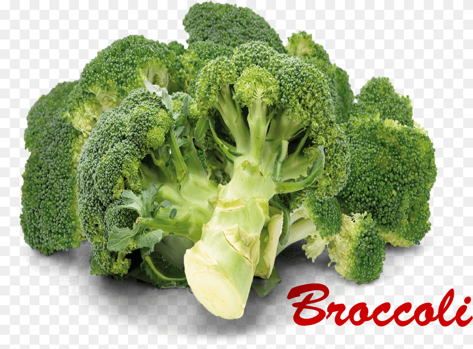 Broccoli Pic With Name, Food, Plant, Produce, Vegetable Free Transparent Png