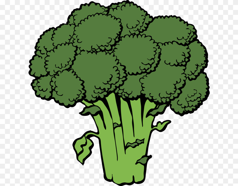 Broccoli Slaw Vegetable Salsa Computer Icons, Food, Plant, Produce, Person Png Image
