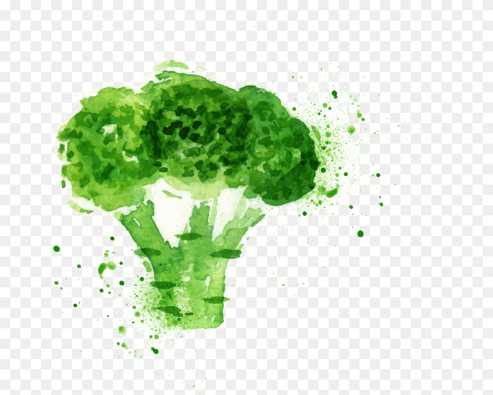 Broccoli Slaw Watercolor Painting Broccoli Watercolor, Food, Plant, Produce, Vegetable Free Transparent Png
