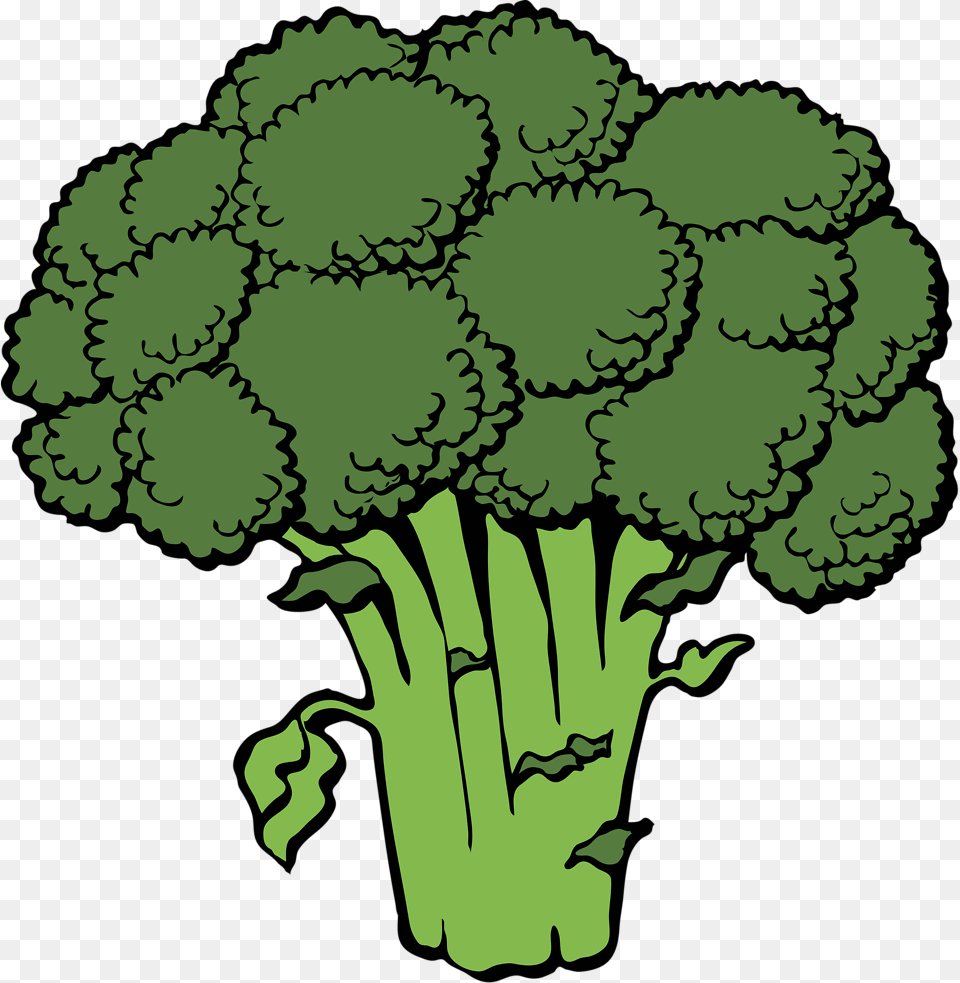 Broccoli Stock Photo Illustration Of Broccoli, Food, Plant, Produce, Vegetable Png