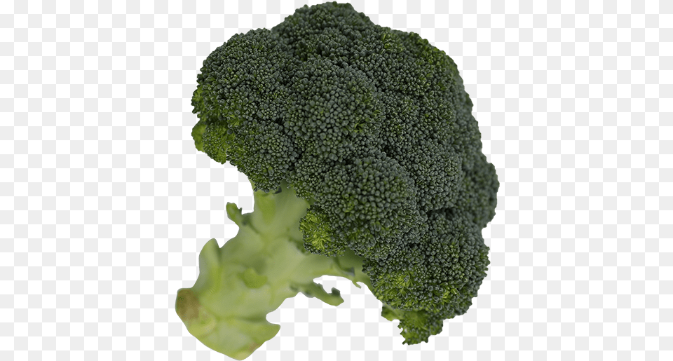 Broccoli Superfood, Food, Plant, Produce, Vegetable Free Transparent Png