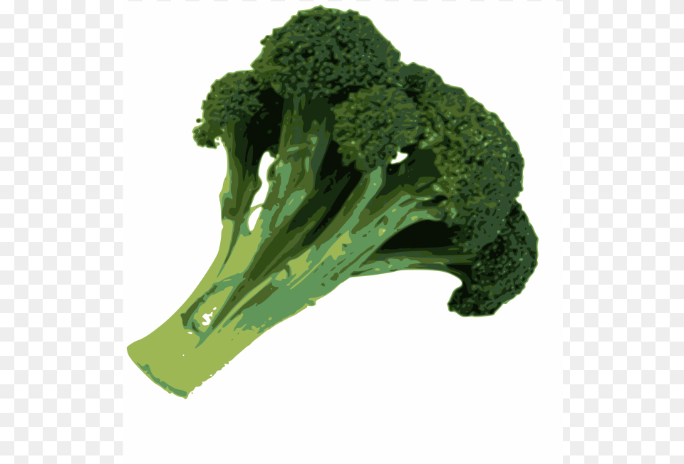 Broccoli Svg Clip Arts, Food, Plant, Produce, Vegetable Png Image