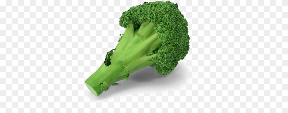 Broccoli Image Broccoli, Food, Plant, Produce, Vegetable Free Transparent Png