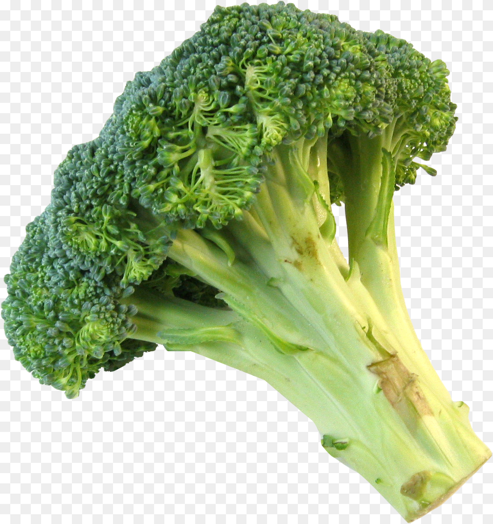 Broccoli Transparent Images Broccoli, Food, Plant, Produce, Vegetable Png Image