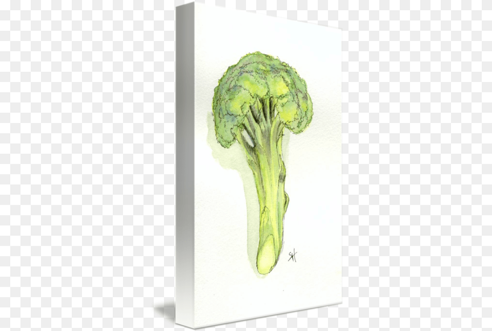Broccoli Tree By Sydney Harper Fresh, Food, Plant, Produce, Vegetable Free Transparent Png