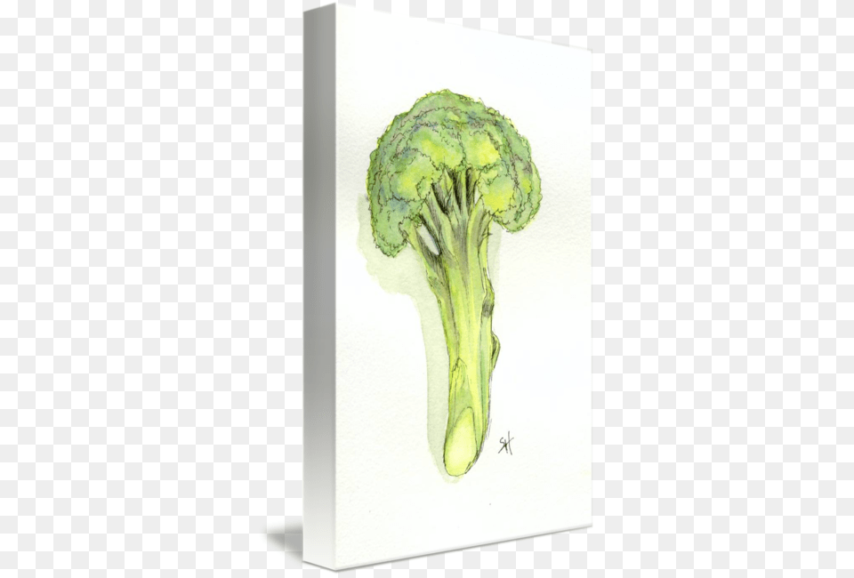 Broccoli Tree By Sydney Harper Graphic Royalty Drawing, Food, Plant, Produce, Vegetable Free Png