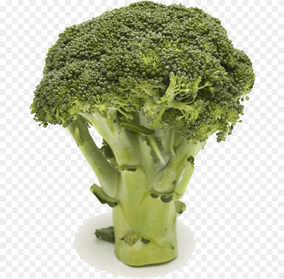 Broccoli Vegetable Food Health Cauliflower Hiding Broccoli In Milk, Plant, Produce Free Png