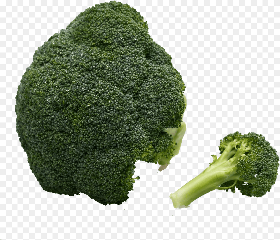 Broccoli Vegetable Immune System Vegetable Free Png