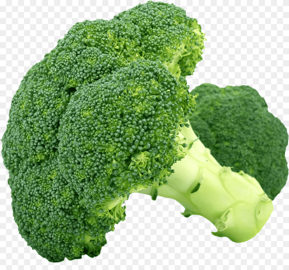 Broccoli Vegetable Steaming Fruit Flower Vegetables Examples Free Png Download