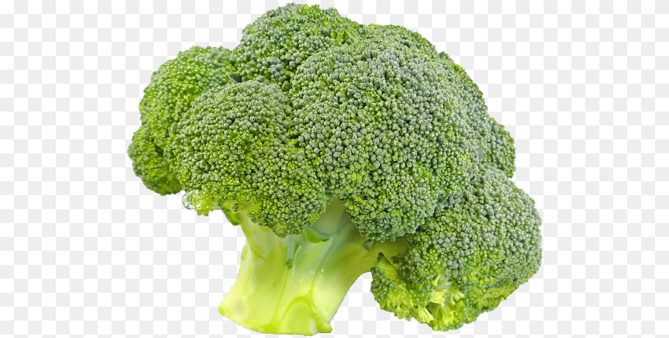 Broccoli Vegetable Wallpaper Broccoli Transparent Background, Food, Plant, Produce, Person Png Image