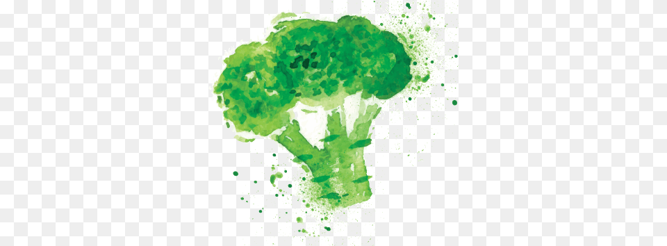 Broccoli Watercolor Health, Food, Plant, Produce, Vegetable Free Png