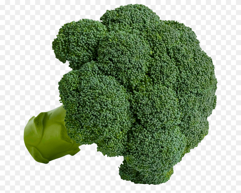 Broccoli Welcome To Grnsaksmstarna Food, Plant, Produce, Vegetable Free Transparent Png