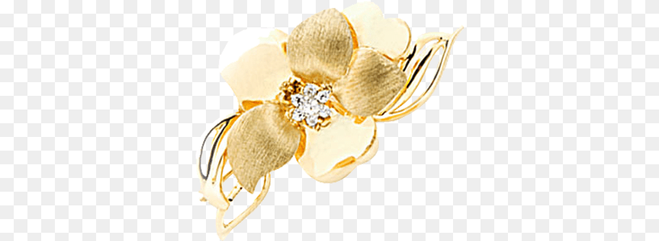 Broche De Oro, Accessories, Jewelry, Brooch Free Png