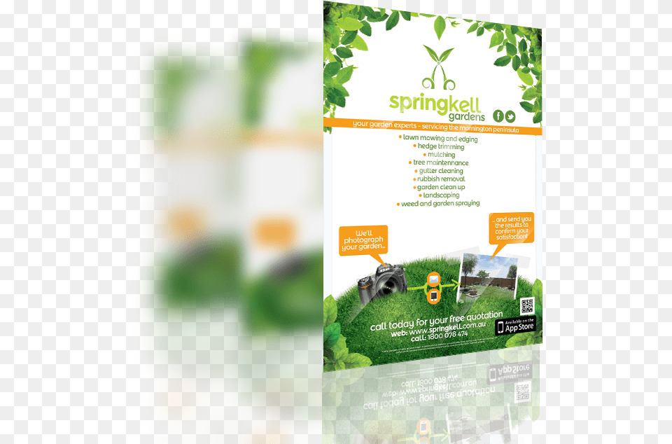 Brochure, Advertisement, Herbal, Herbs, Plant Png Image