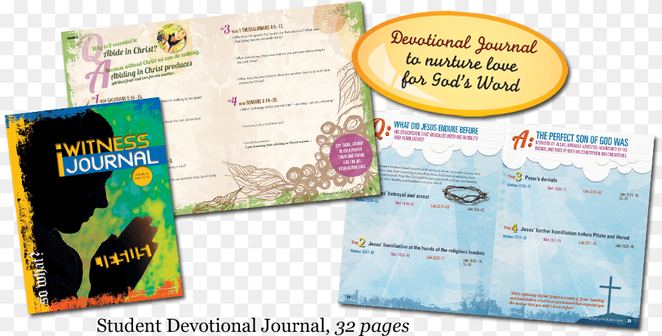 Brochure, Advertisement, Poster, Person, Text Free Png Download