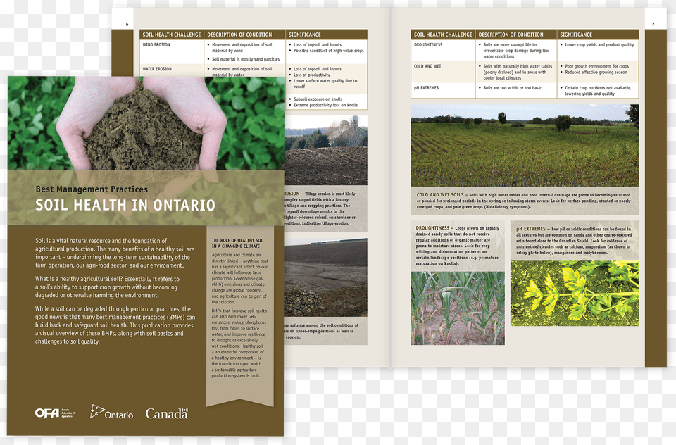 Brochure, Advertisement, Soil, Poster, Person Png
