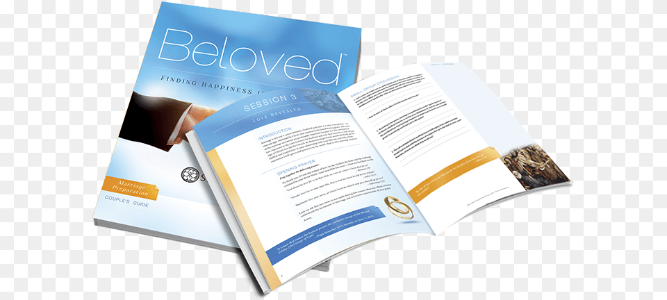 Brochure, Advertisement, Book, Poster, Publication Png Image