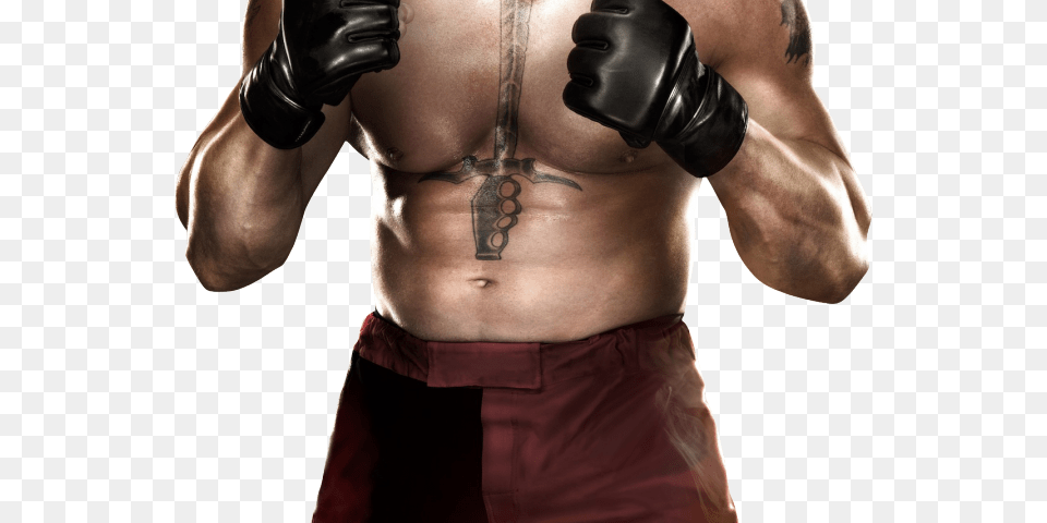 Brock Lesnar Wwe, Person, Skin, Tattoo, Adult Free Png