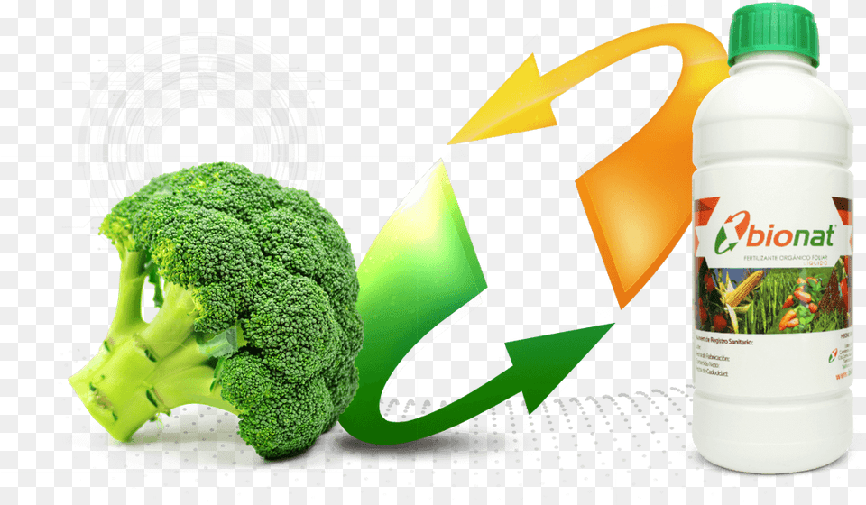 Brocoli Bionat, Broccoli, Food, Plant, Produce Free Png