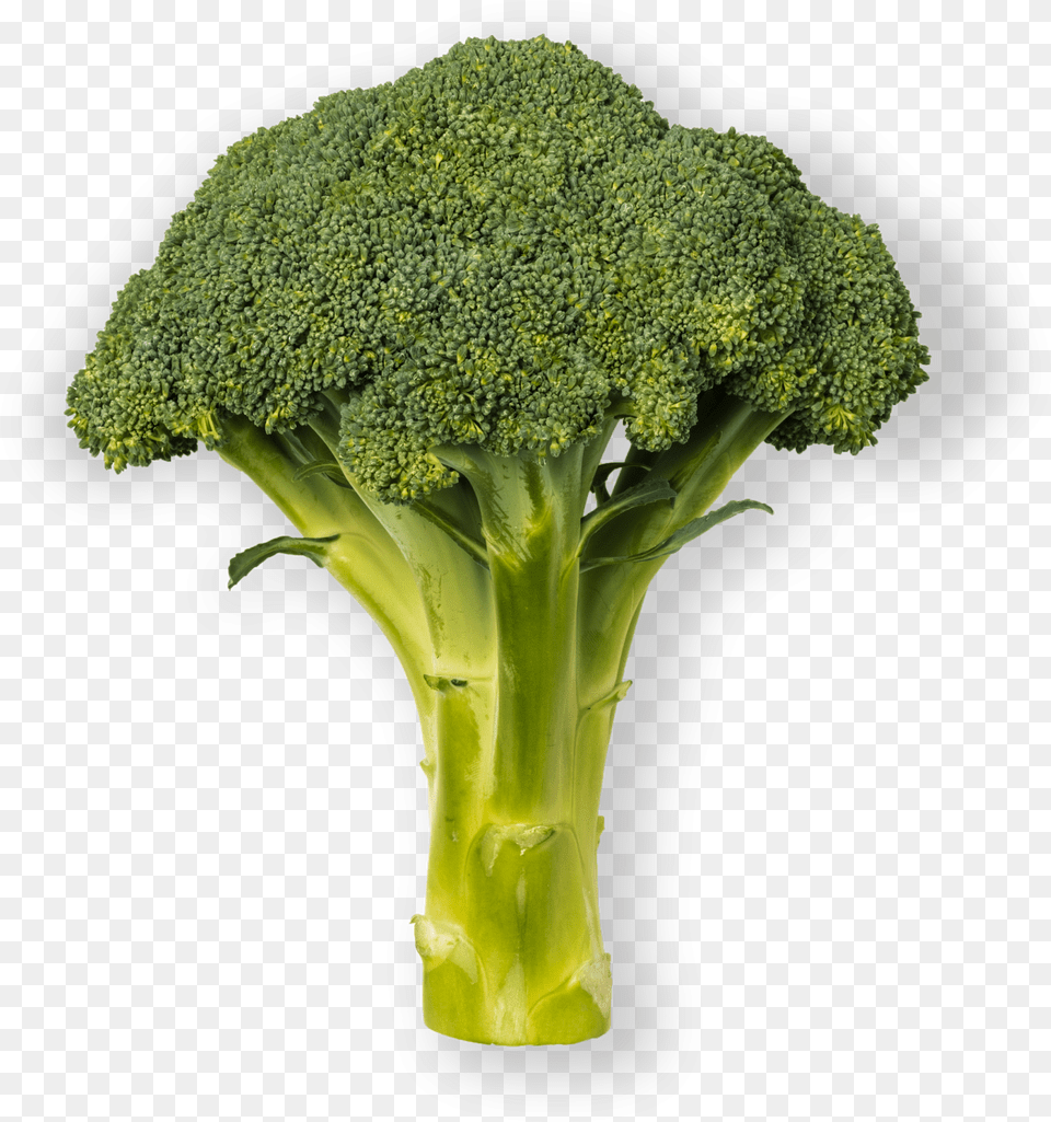 Brocoli Broccoli, Food, Plant, Produce, Vegetable Png