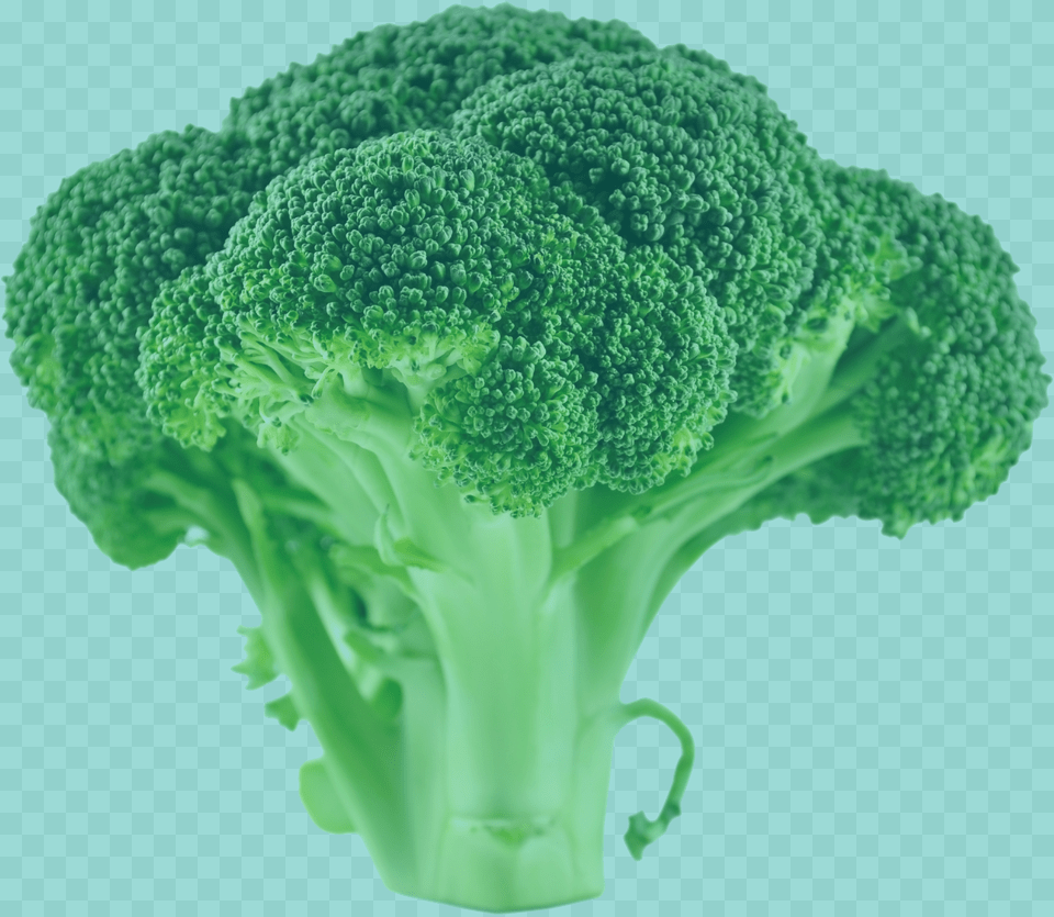 Brocoli Green Trans Brocoli, Broccoli, Food, Plant, Produce Png Image