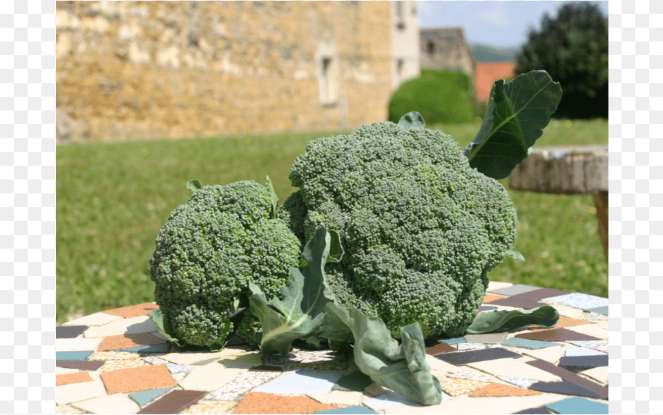 Brocoli Pice Env Broccoli, Food, Plant, Produce, Vegetable Free Transparent Png