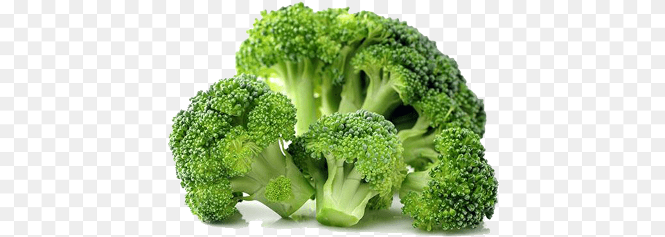 Brocolli 2 Image Broccoli, Food, Plant, Produce, Vegetable Png
