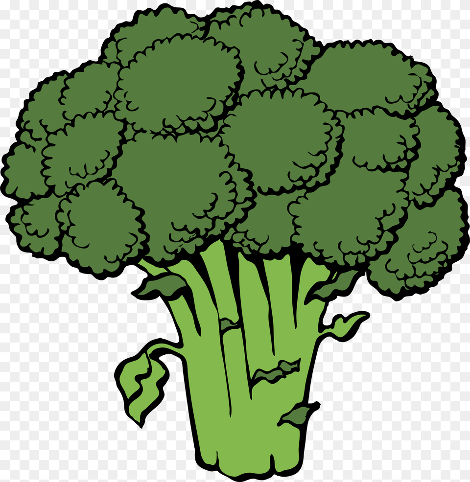 Brocolli Clip Big Green Leafs, Broccoli, Food, Plant, Produce Free Transparent Png