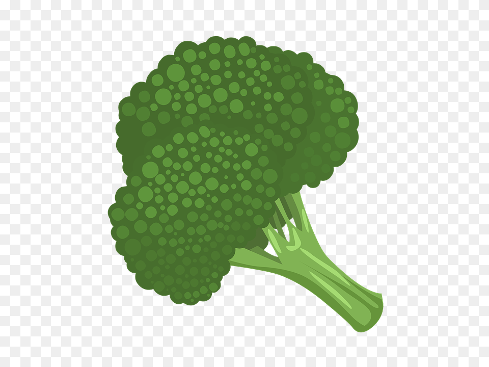 Brocolli Clip Art Clip Art Broccoli, Food, Plant, Produce, Vegetable Free Png Download