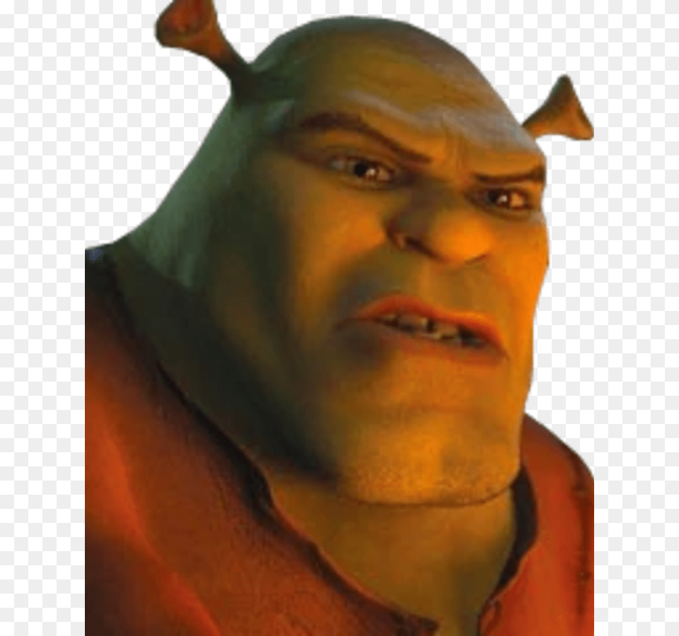 Brogan Shrek Forever After, Face, Head, Person, Adult Free Png Download