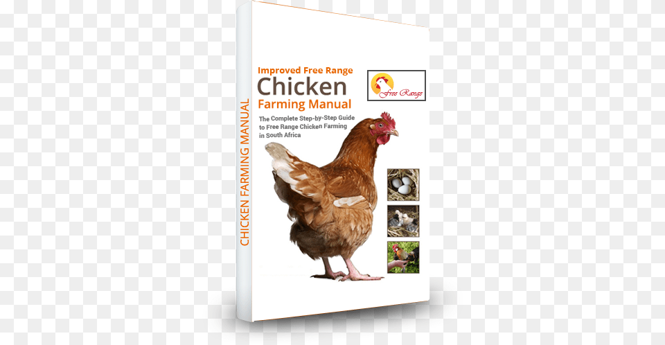 Broiler Chicken Production Business Plan Chicken Manual The Complete Step By Step Guide To, Animal, Bird, Fowl, Poultry Png