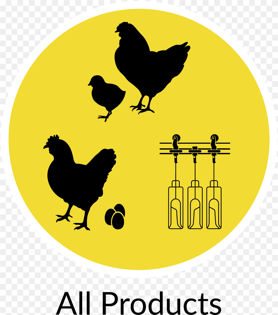 Broiler Equipment Albuterol Generic Airet Proventil, Animal, Bird, Chicken, Fowl Free Transparent Png