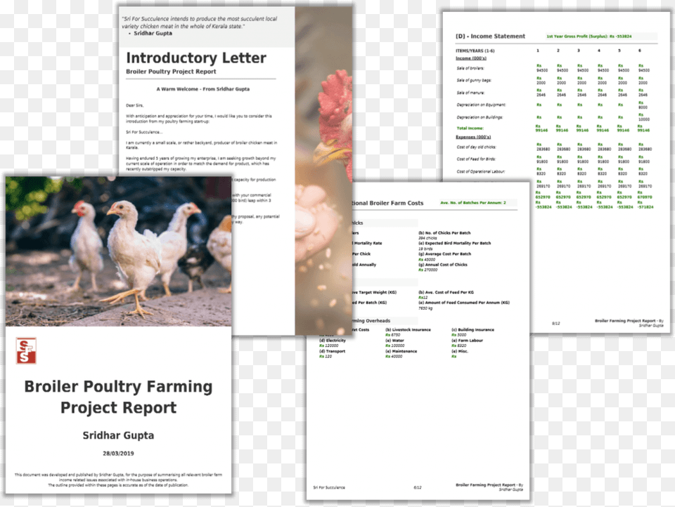 Broiler Farming Project Report Pdf Chicken, Text, Animal, Bird, Fowl Free Png