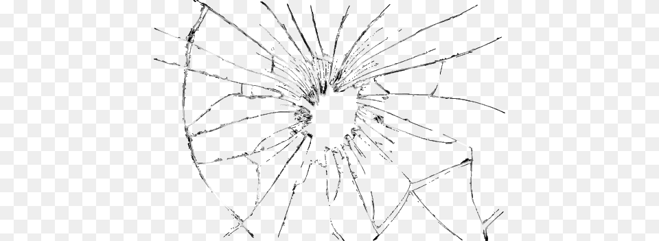 Broken Glass, Animal, Invertebrate, Spider Png Image