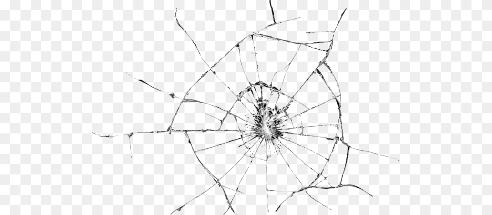 Broken Glass, Spider Web, Animal, Invertebrate, Spider Free Png Download
