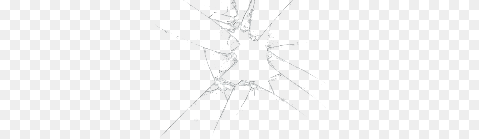 Broken Glass, Animal, Invertebrate, Spider Free Png