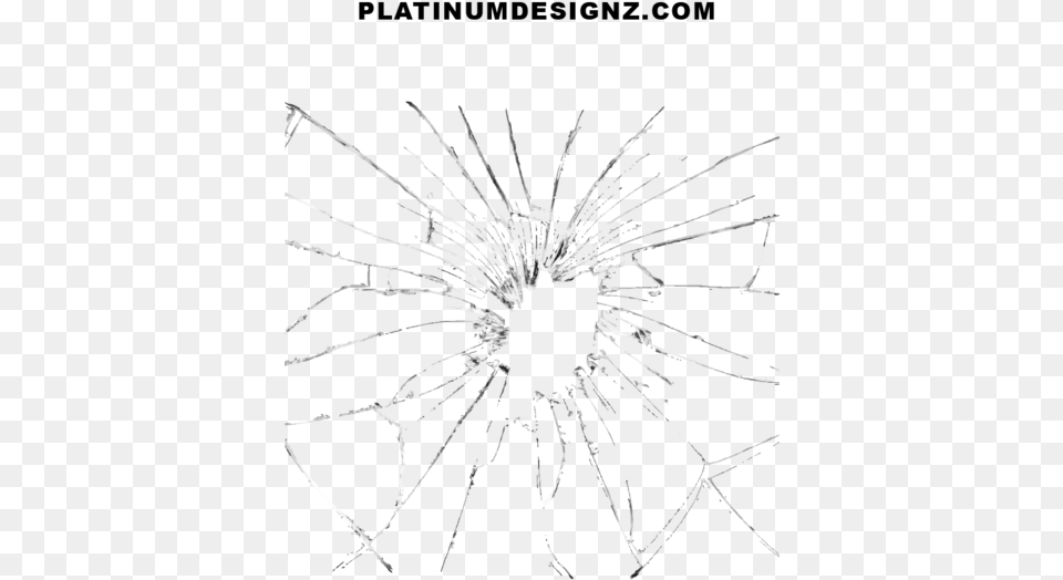 Broken Glass, Plant, Flower Png Image