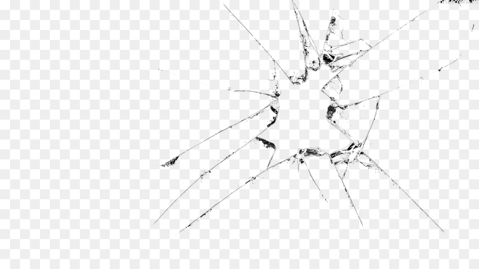 Broken Glass, Animal, Invertebrate, Spider, Argiope Png Image