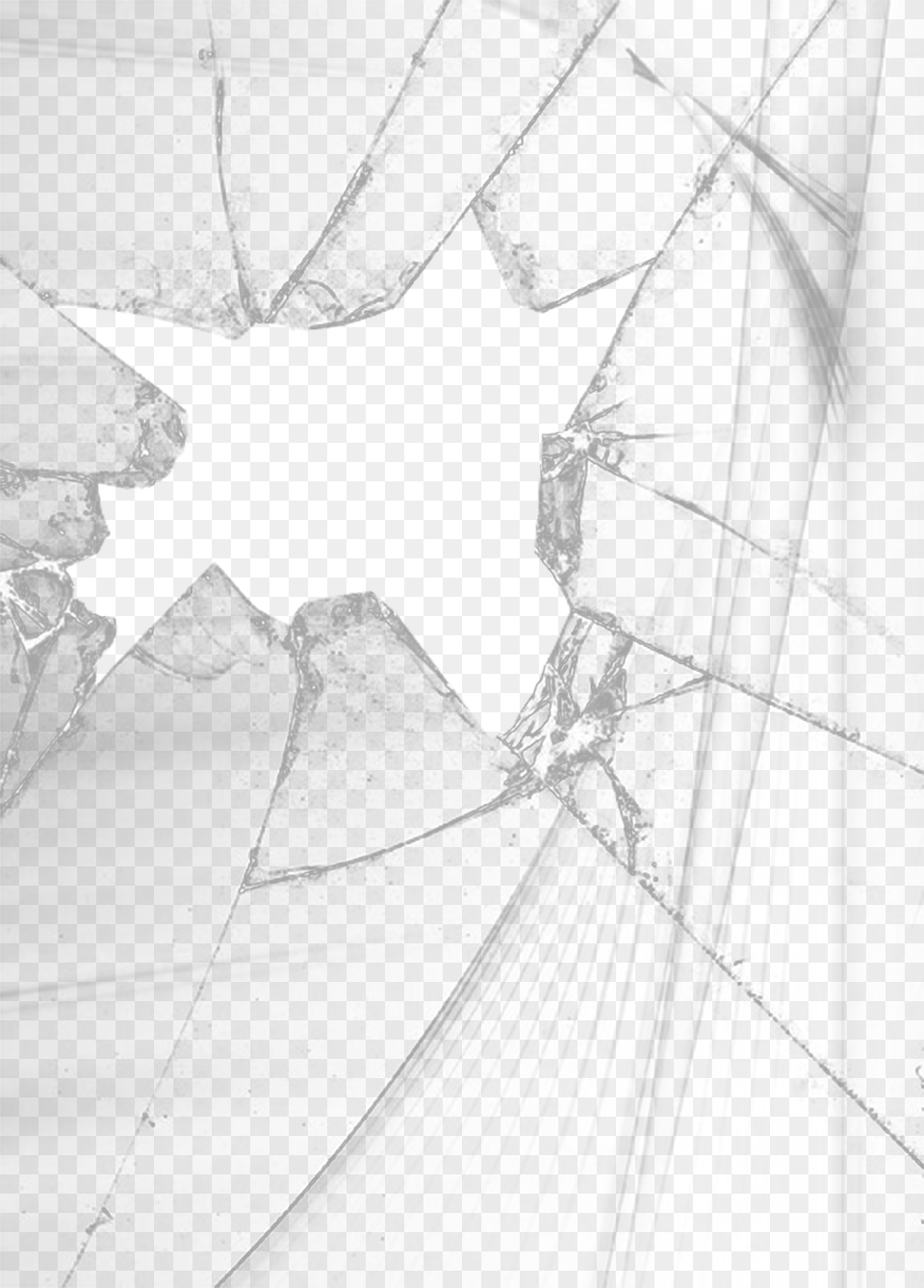 Broken Glass, Animal, Invertebrate, Spider Png Image