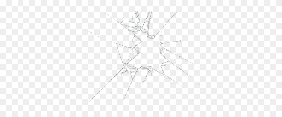 Broken Glass, Animal, Invertebrate, Spider Free Transparent Png