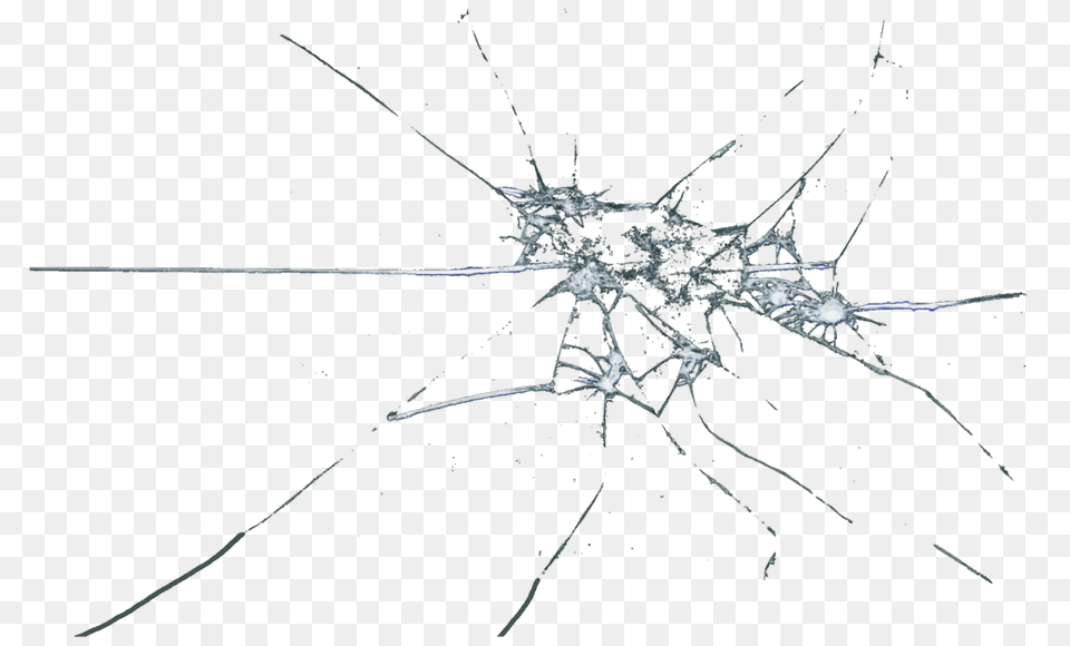 Broken Glass, Animal, Invertebrate, Spider Free Png Download