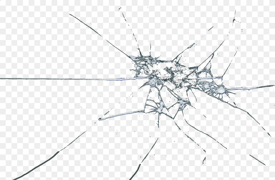 Broken Glass, Animal, Invertebrate, Spider Png