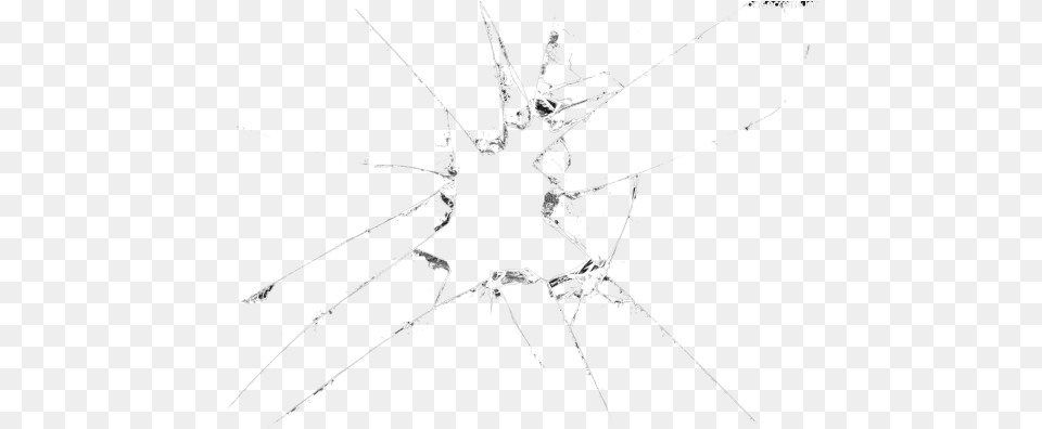 Broken Glass Clipart Insect, Animal, Invertebrate, Spider Free Png