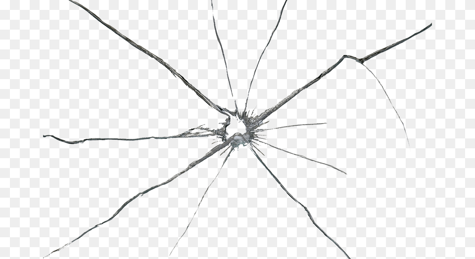 Broken Glass Transparent Background Cracked Glass, Animal, Invertebrate, Spider Png Image