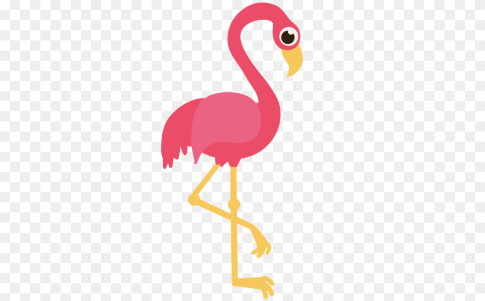 Broken Leg The Bored Flamingo, Animal, Bird Free Transparent Png