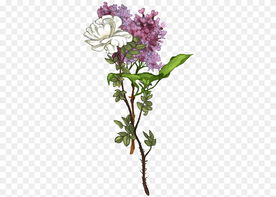 Brollopsbukett Artificial Flower, Plant Png Image