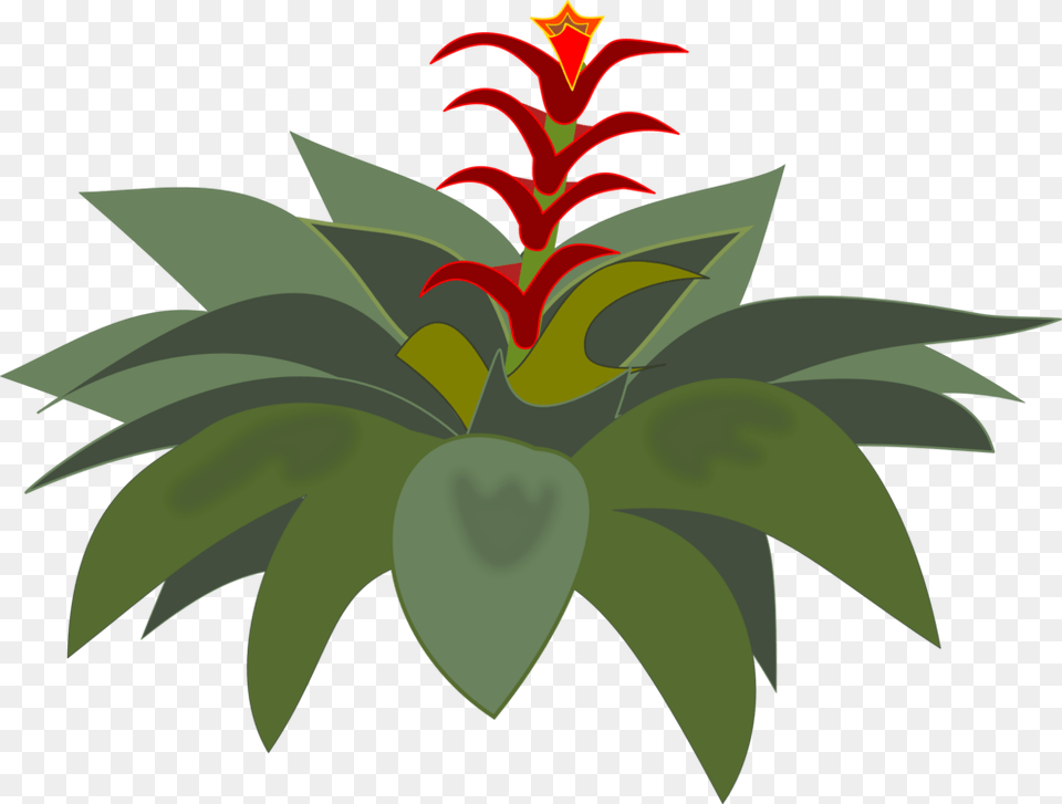 Bromelia Computer Icons Flowering Plant Plants, Flower, Leaf, Tree, Vegetation Free Png Download