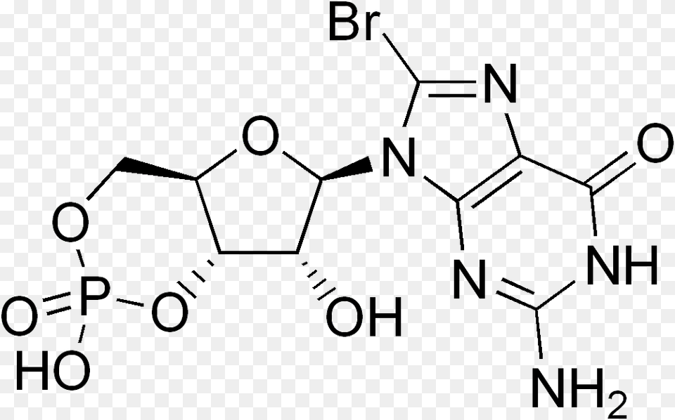 Bromo Cyclic Gmp 2 Amino Terephthalic Acid Png