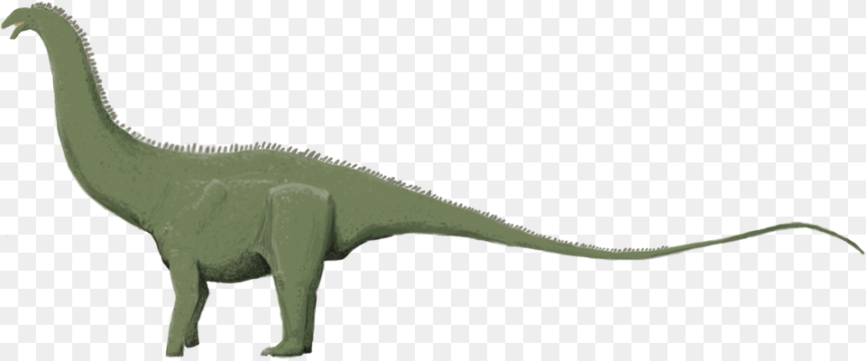 Brontosaurus Excelsus Technically This Species Is Tyrannosaurus, Animal, Dinosaur, Reptile, T-rex Free Png Download