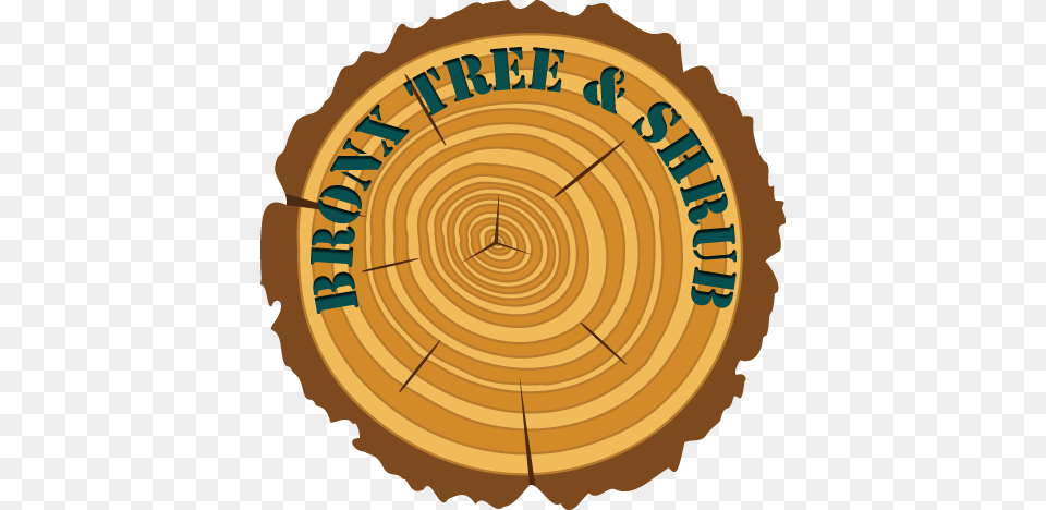Bronx Riverdale Tree Service Pruning Removal Bronx Tree Shrub, Wood, Lumber, Chess, Game Png